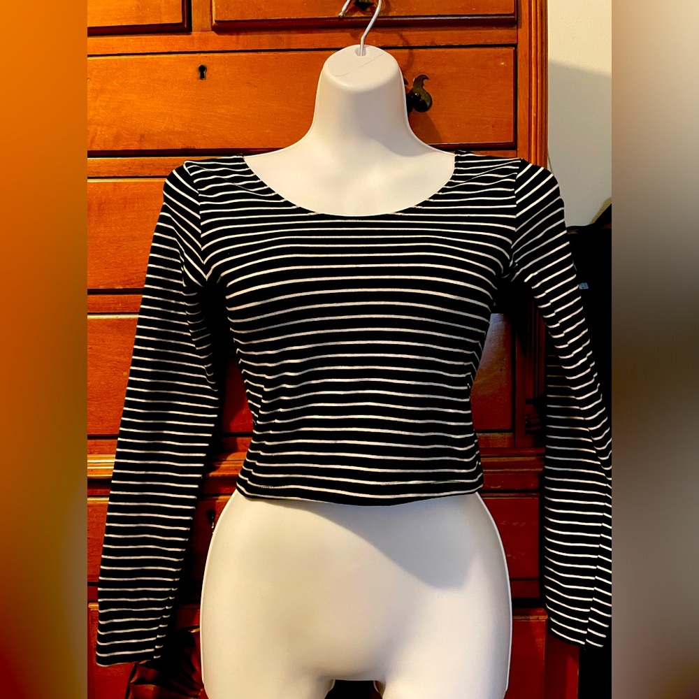 American Apparel Long Sleeve Crop Top